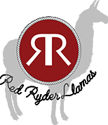 Red Ryder Llama Treks