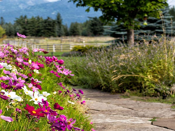 Spring activities in Kalispell and the Flathead Valley